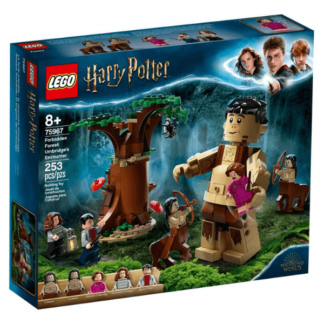 Caja LEGO® - El Bosque Prohibido